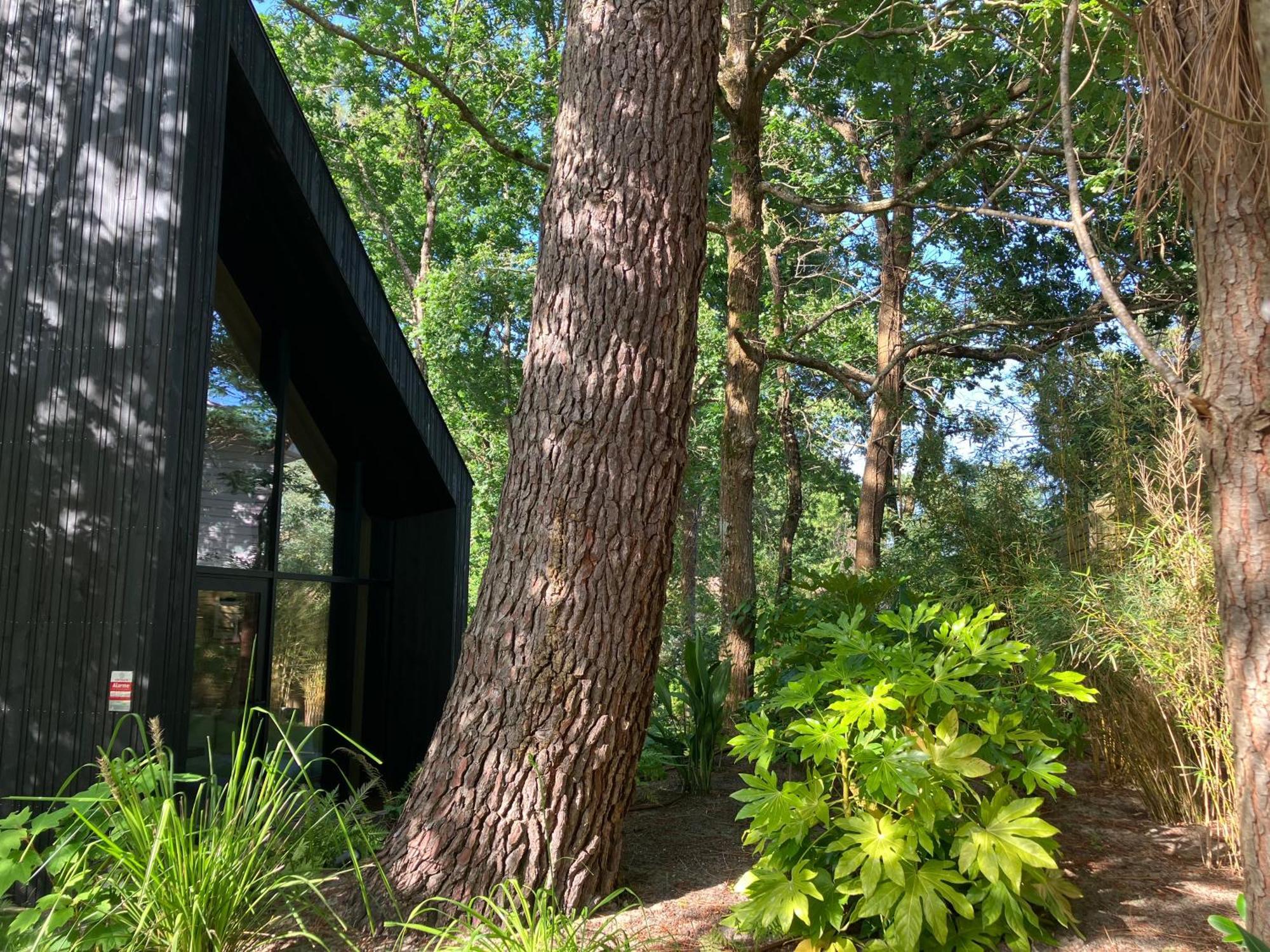 Nouveau - Ecolodge 'Calme Et Nature' - Avec Piscine Au Golf-Lac De Biscarrosse - Couchage 2 Personnes Exterior photo